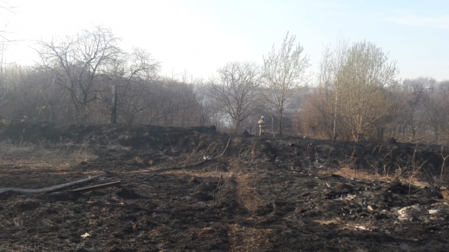 Image for Опубликованы фото и видео с места крупного пожара в Кстовском районе