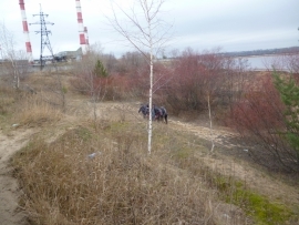 Image for Тело мужчины обнаружено в реке в городе Бор Нижегородской области