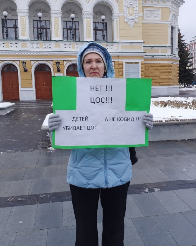 Image for Нижегородцы продолжают пикетировать против дистанта в школе