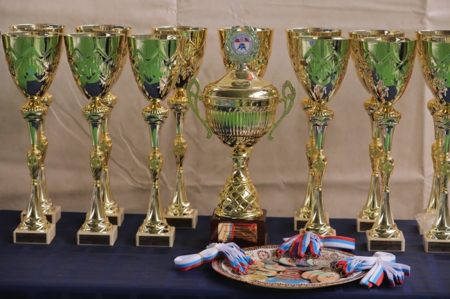 Image for В Дзержинске состоялись всероссийские соревнования по сумо на Кубок губернатора Нижегородской области