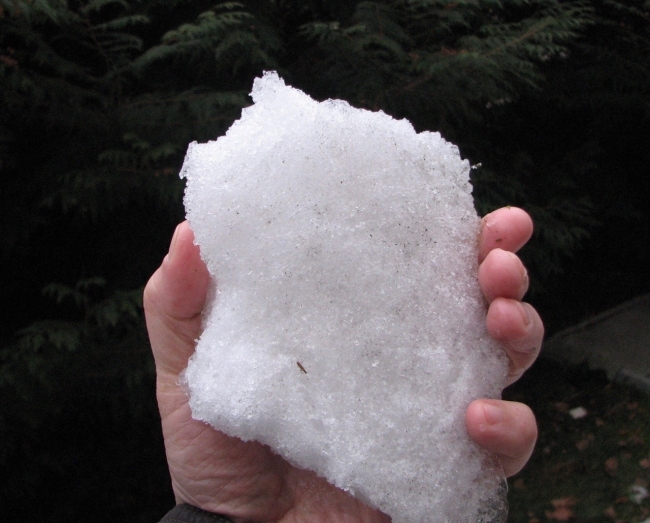 Image for Снег привезли в Дзержинск на технике