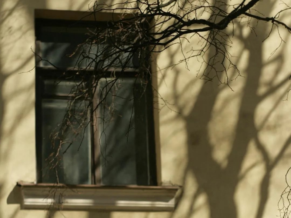 Image for Два нижегородца попытались убить своего друга, выкинув его из окна