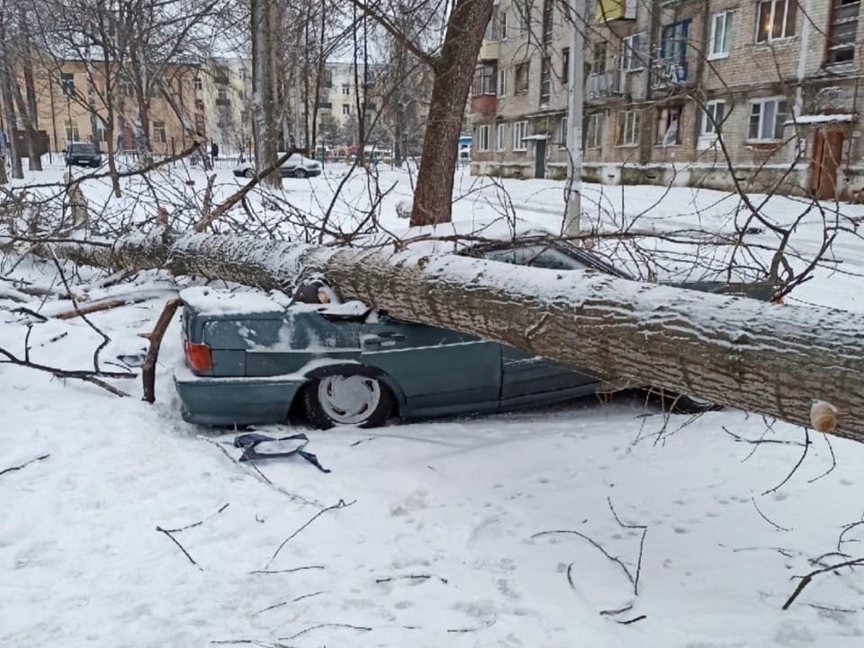 Image for В Кстове машину раздавило упавшим деревом