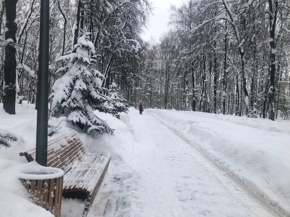 Image for Небольшой снег и потепление до −5 °C ожидаются в Нижнем Новгороде 16 января