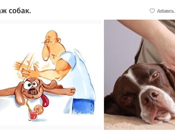 Image for «Помогу найти потерянную вещь» и «сделаю массаж вашей собаке»: самые необычные услуги от нижегородцев