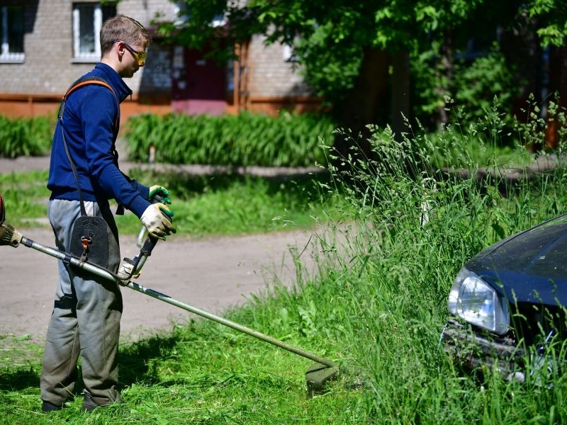 Image for В Нижнем Новгороде изменятся правила содержания газонов