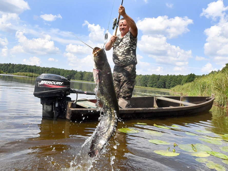 Рыболовный фестиваль «Клевый Нижний» пройдет в Сормовском парке 