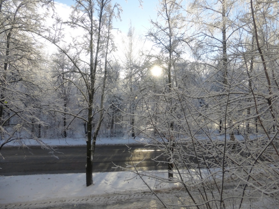 Сказка началась: нижегородцы делятся фотографиями первого снега 2020 года