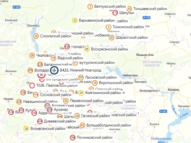 Опубликована обновленная карта заражений Нижегородской области