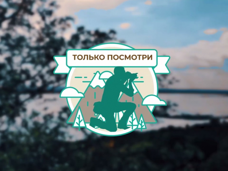 Трэвел-реалити-шоу «Только посмотри» снимут в Нижегородской области