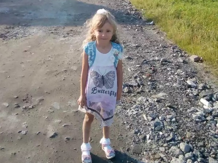 Волонтёры рассказали, как можно помочь поискам пятилетней Зарины Авгоновой в Нижегородской области