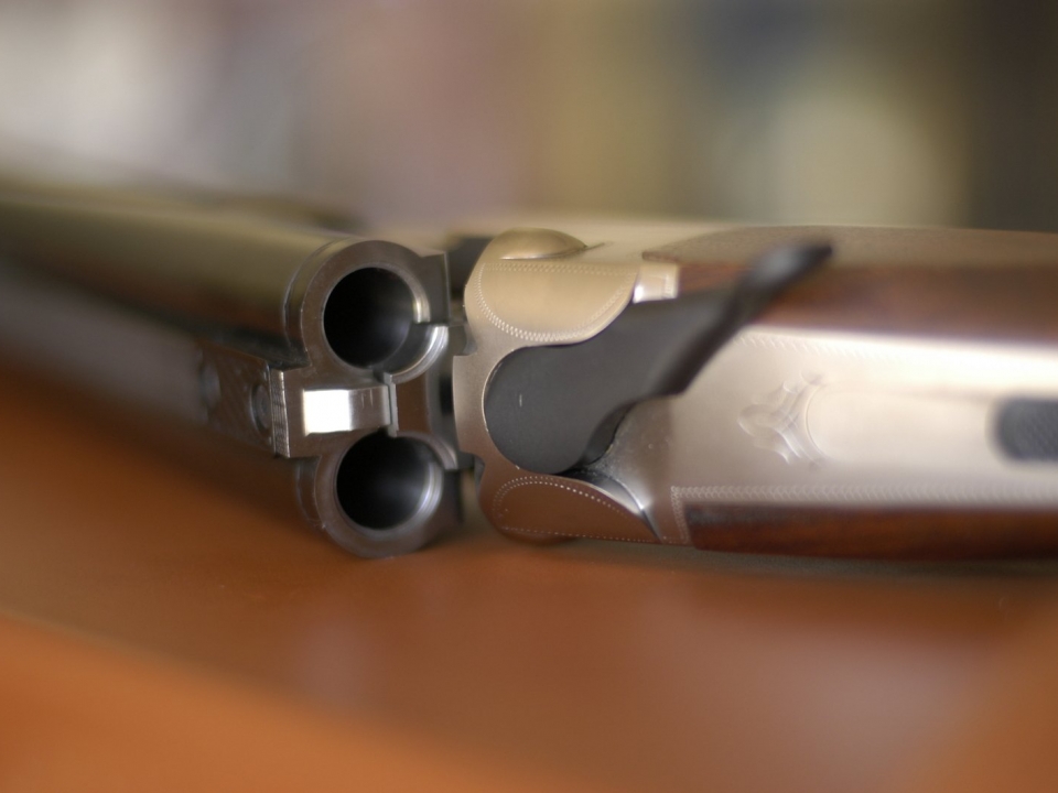 В Нижегородской области у психически больного и опасного для окружающих мужчины нашли два ружья