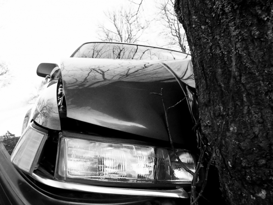 Молодой водитель «Лады» погиб, протаранив дерево в городе Кулебаки Нижегородской области