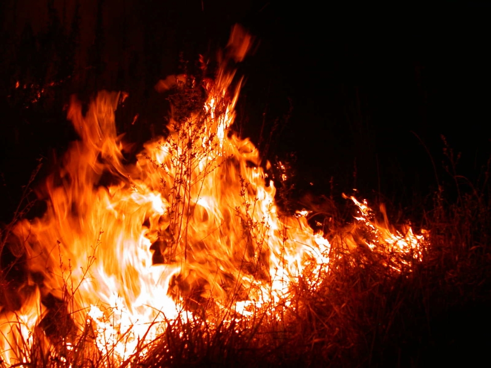 Image for Травяные пожары за сутки уничтожили три дома и автомобиль в Нижегородской области