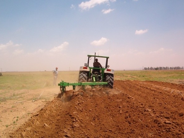 Нижегородские аграрии засеяли более 1 млн гектара полей