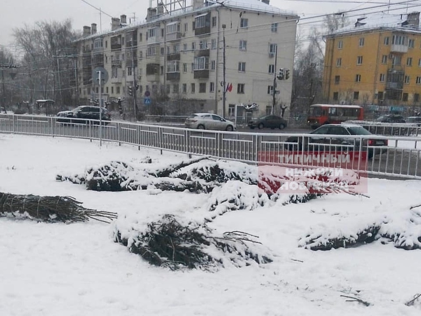 Нижегородцы жалуются на «кладбища елок» на улицах Нижнего Новгорода