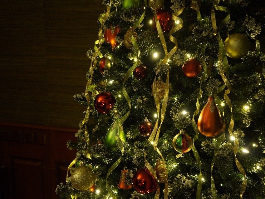 Семь новогодних елок установят в Приокском районе Нижнего Новгорода