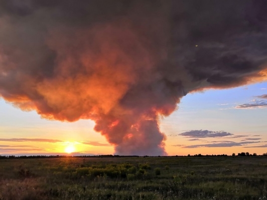 Image for МЧС ликвидировало перекинувшиеся на Нижегородскую область с Мордовии лесные пожары