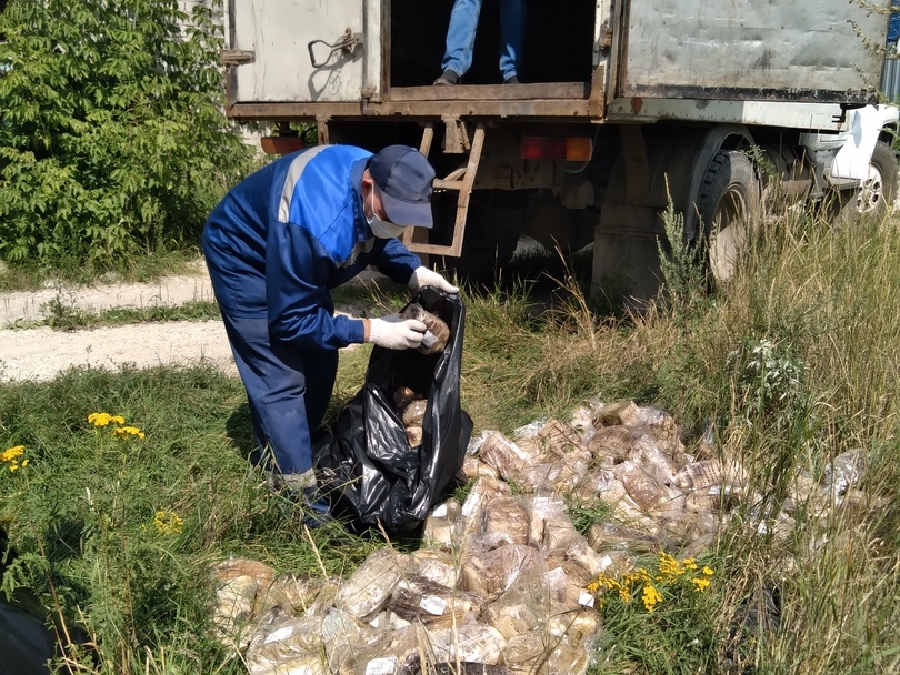 Image for В Дзержинске ликвидировали свалку хлеба