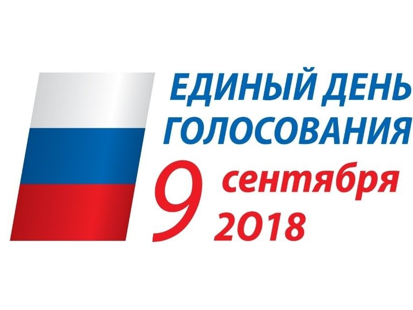 Image for Явка на выборах в Нижегородской области к шести вечера составила около 34%