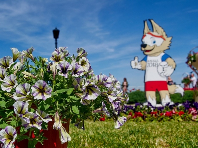 Image for Цветет и пахнет: в Нижнем Новгороде открылся Праздник цветов