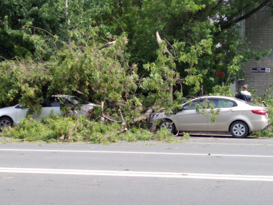 Image for Как нижегородцы могут получить компенсацию за разбитые в ураган машины?