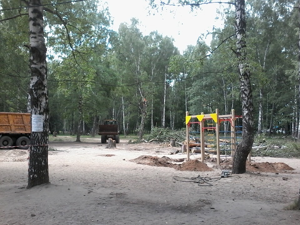 В парке Пушкина в Нижнем демонтировали детскую площадку