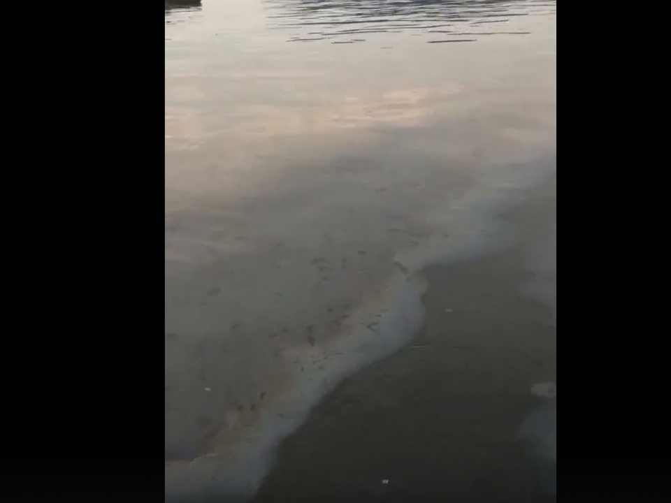 Image for Очевидцы заметили разливы нефтепродуктов в Волге в районе Кстова