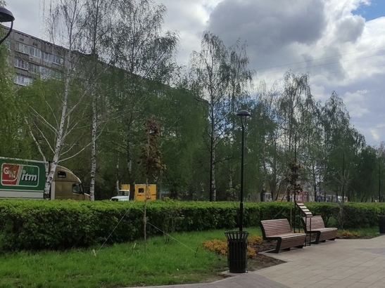 Image for Почти все деревья и кустарники прижились в нижегородском сквере на проспекте 70 Октября