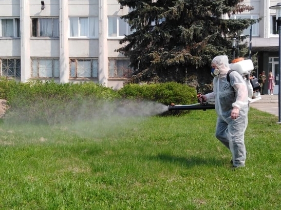 Image for В Нижнем Новгороде началась обработка городских пространств от клещей