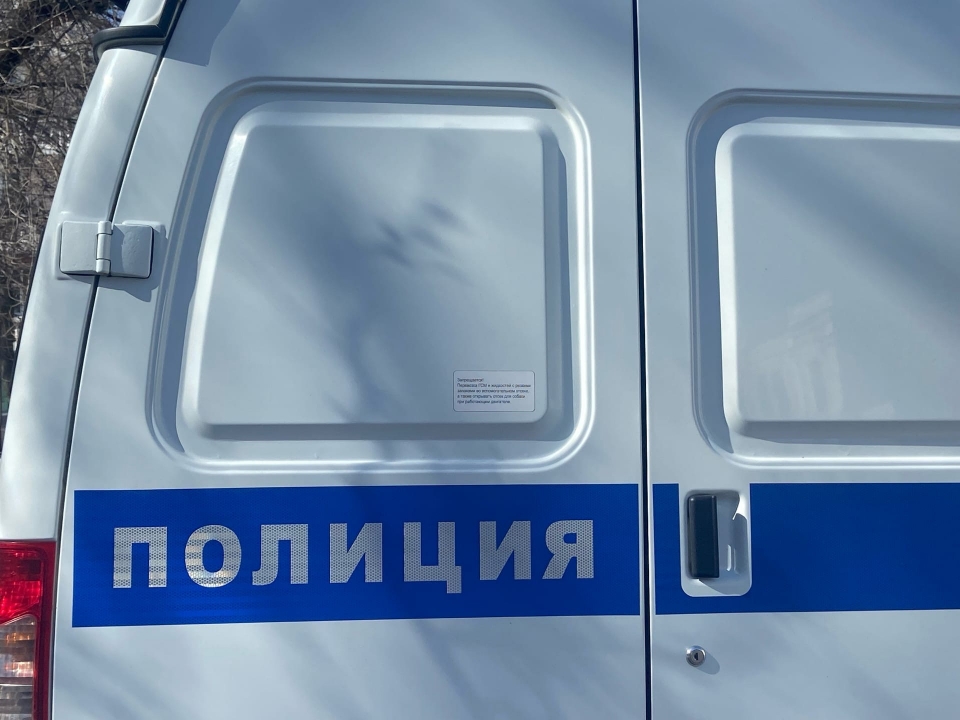 Image for Пьяная нижегородка подралась с полицейскими на улице Белинского
