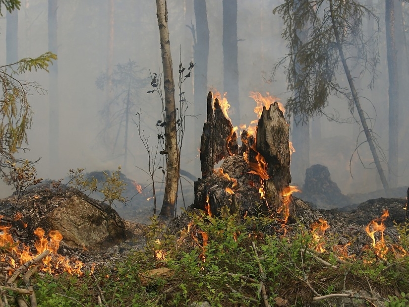 Image for Природные пожары будут угрожать населённым пунктам Нижегородской области до 15 октября
