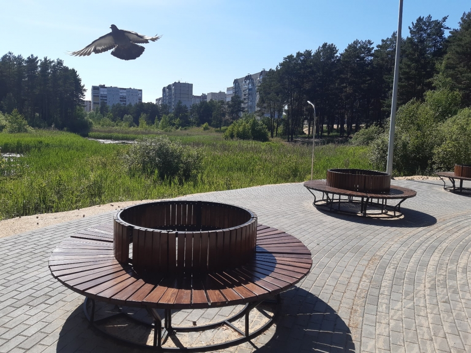 Wi-fi установят в парке «Утиное озеро» в Дзержинске