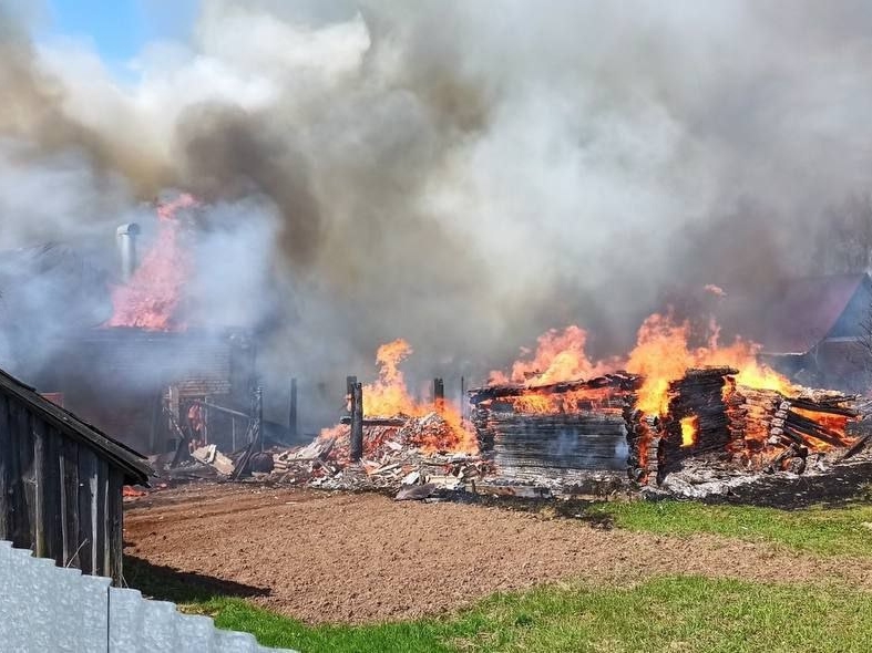 Image for Два дома сгорели из-за сухой травы в Арзамасском районе