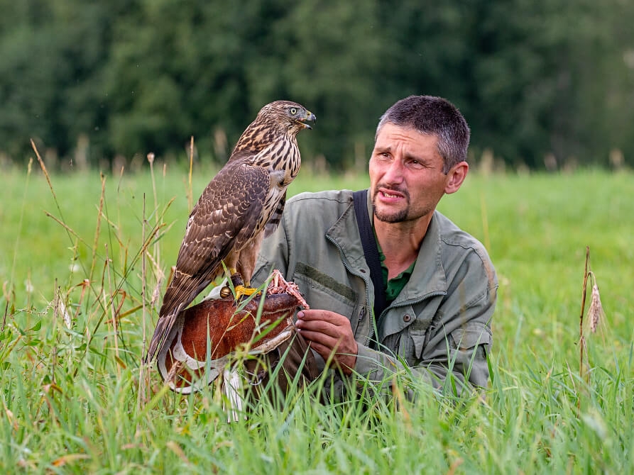 Image for Нижегородцам начали выдавать разрешения на охоту с ловчими птицами