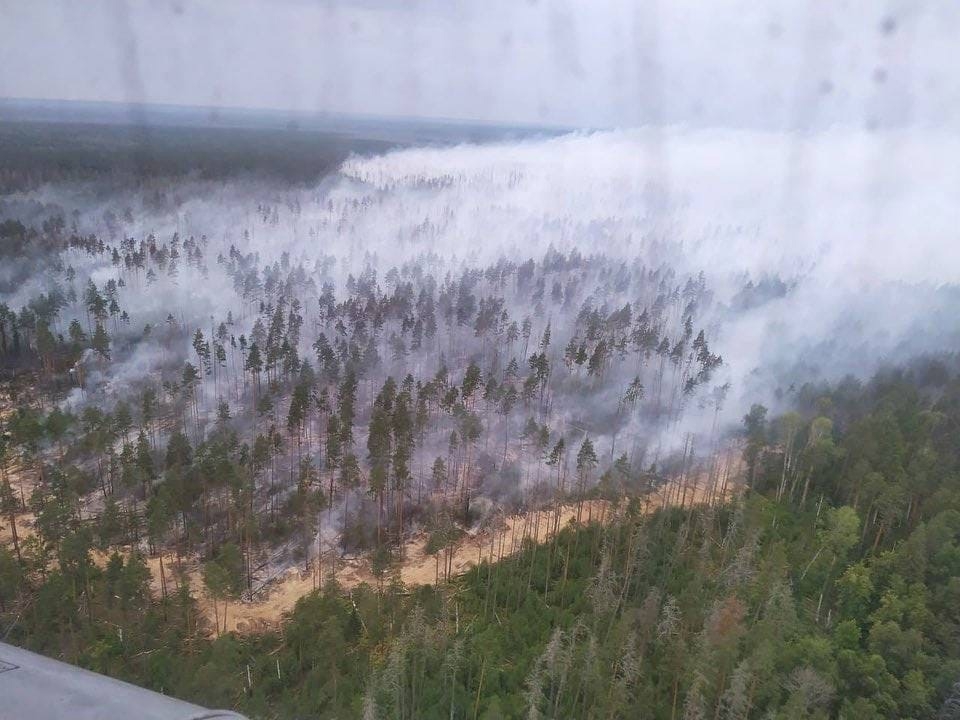 Image for В Сарове Нижегородской области ввели режим ЧС из-за лесных пожаров