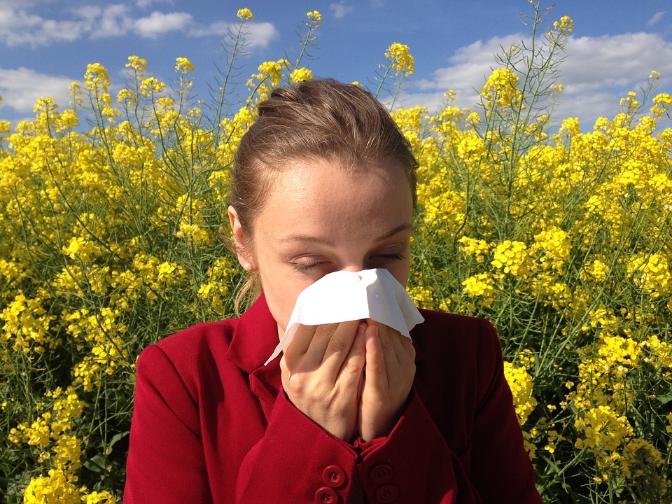 Image for Роспотребнадзор дал нижегородцам рекомендации по сезонной аллергии