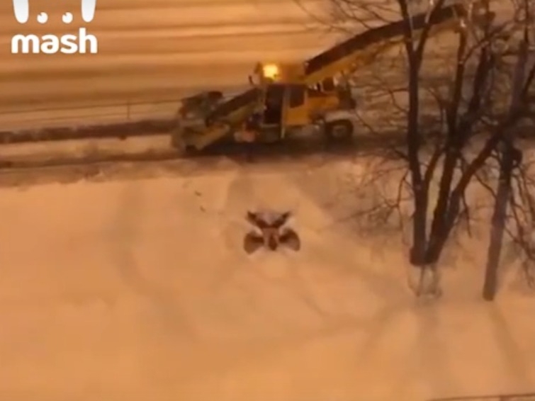 Image for Нижегородский коммунальщик делает ангелов из снега