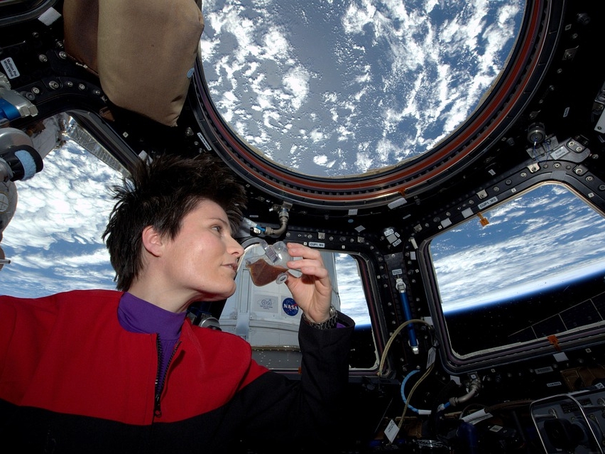 Image for Еда в тюбиках и санкционные сыры: как питаются космонавты во время полетов