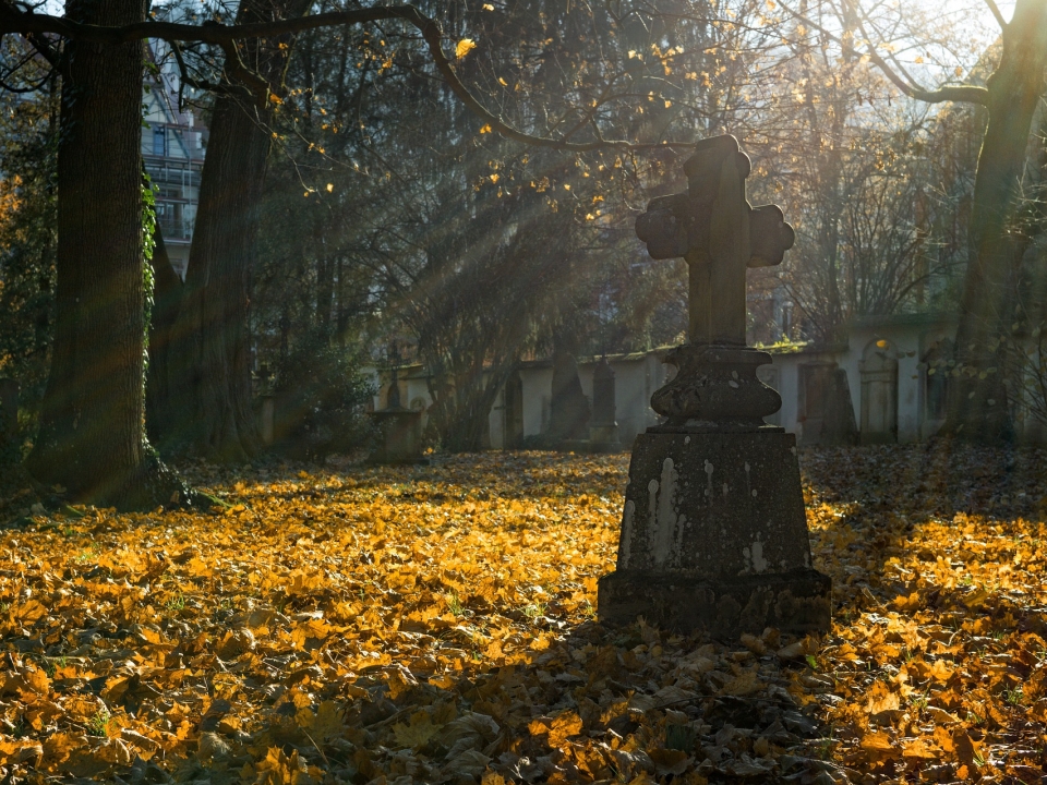 Image for Нижегородское кладбище «Березовая роща» расширят в три раза