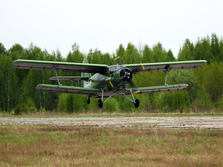 Image for За лесными пожарами в Нижегородской области начали следить с воздуха