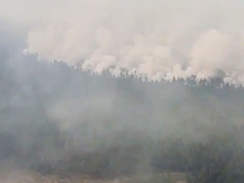 Image for Лесной пожар в Воротынском районе собираются тушить встречным отжигом