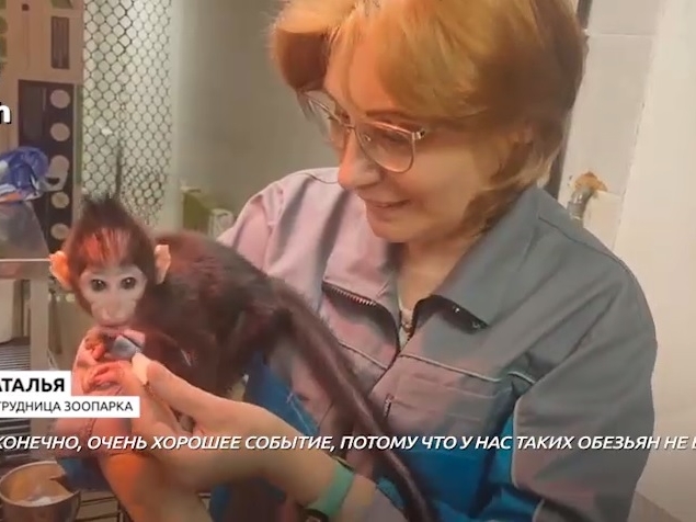Image for Детеныш редкого вида обезьян родился в зоопарке Нижнего Новгорода