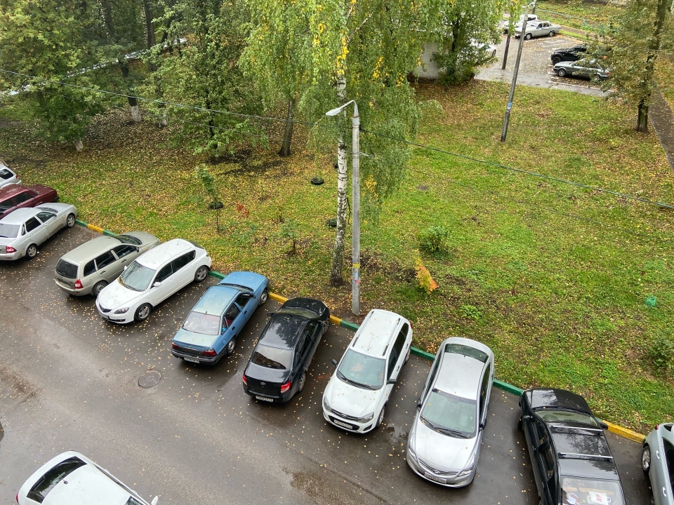 Image for Никитин поддержал идею о льготах на платные парковки в Нижнем Новгороде