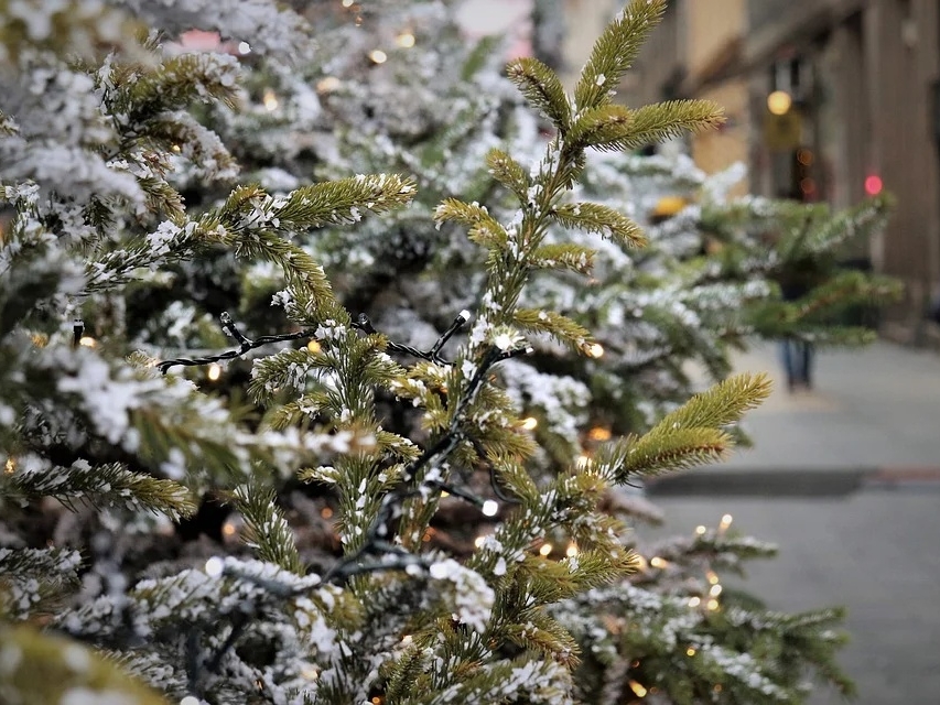 Image for Названы места установки новогодних елок в Нижнем Новгороде