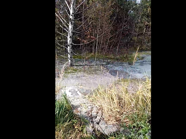 В Дзержинске местные жители обнаружили болото химикатов