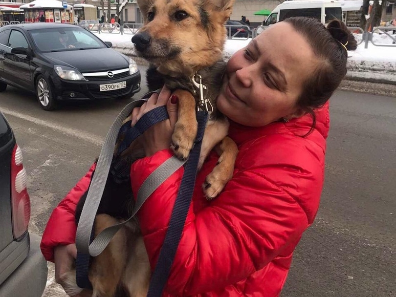 Собака с дефектом мозжечка из нижегородского приюта отправилась к новым хозяевам в Пермь
