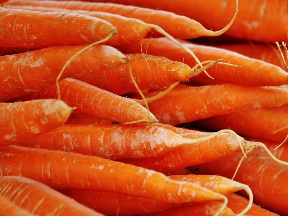 Image for Свежую морковь с нитратами из Молдавии выявили в Нижегородской области