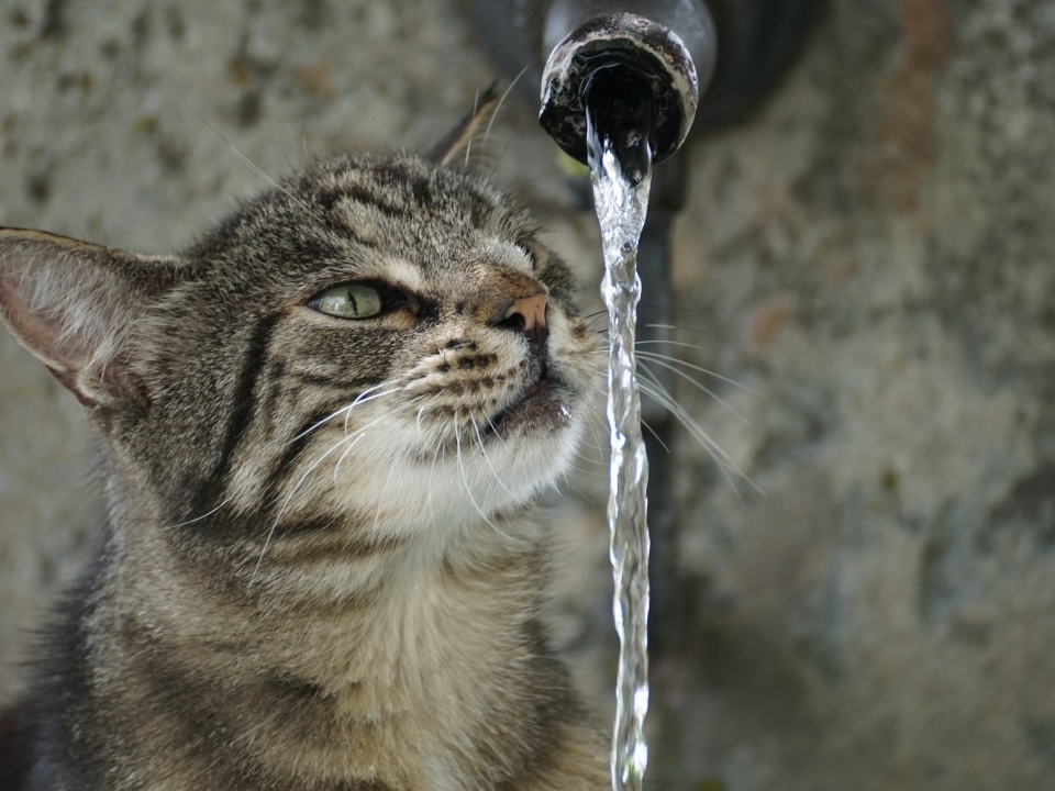 Image for Свет и воду частично отключили в трех районах Нижнего Новгорода 