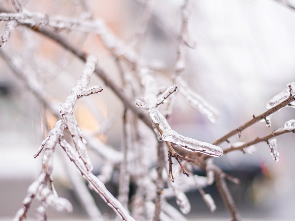 Image for Морозы до -24 °C простоят в Нижегородской области до середины следующей недели